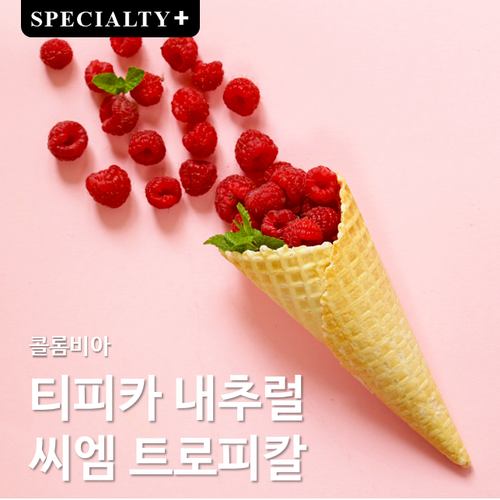 콜롬비아 티피카 내추럴 씨엠 트로피칼