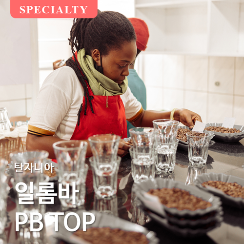 탄자니아 일롬바 PB TOP