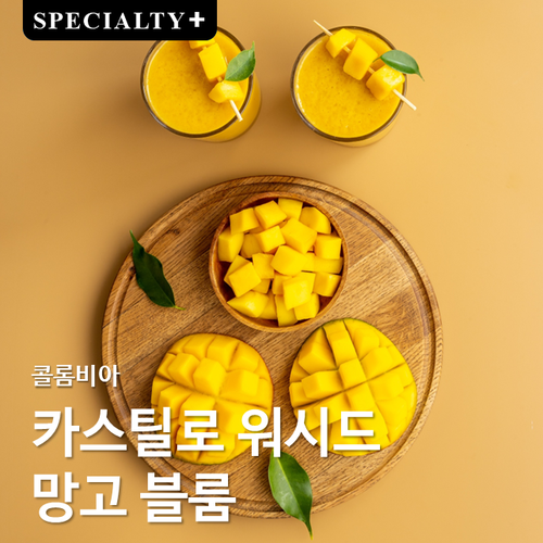콜롬비아 카스틸로 워시드 망고 블룸