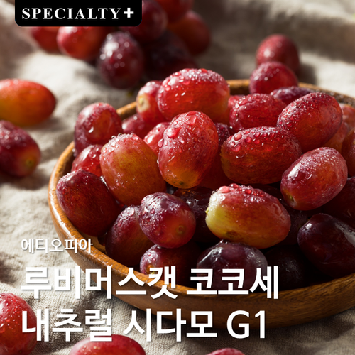에티오피아 루비머스캣 코코세 내추럴 시다모 G1