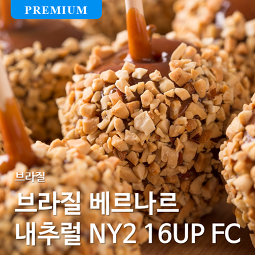[월간생두] 브라질 베르나르 내추럴 NY2 16UP FC
