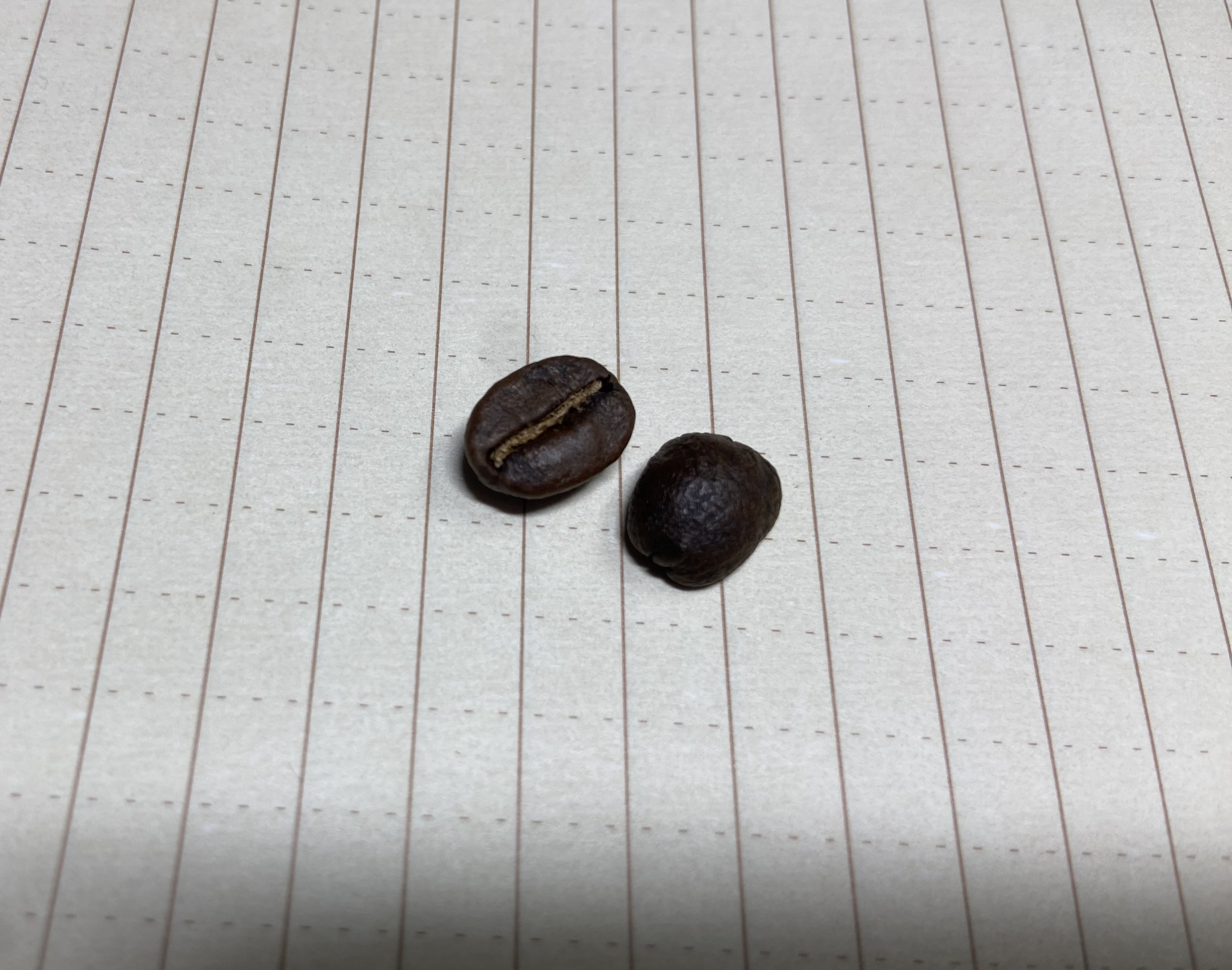 첨부파일